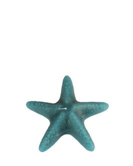 Vela estrella de mar agua