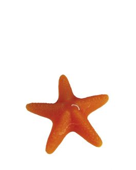 Vela estrella de mar naranja