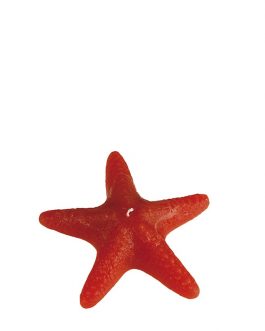 Vela estrella de mar coral